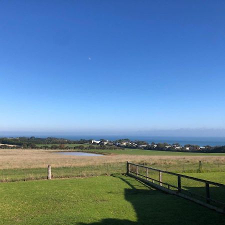 Yolo- Beach-House Views, Near Penguins, Nbn! Villa Ventnor Exterior photo